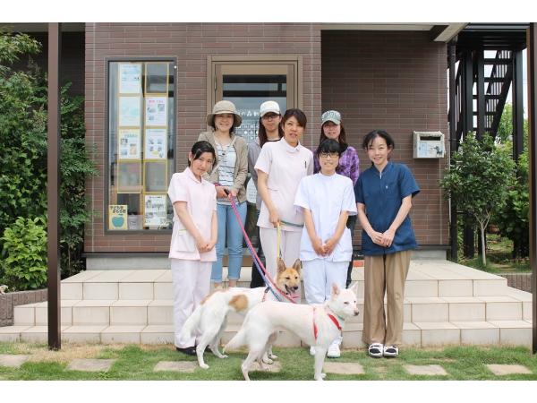 昭和の森動物病院 千葉県 千葉市緑区 獣医師 動物看護師の求人 転職情報