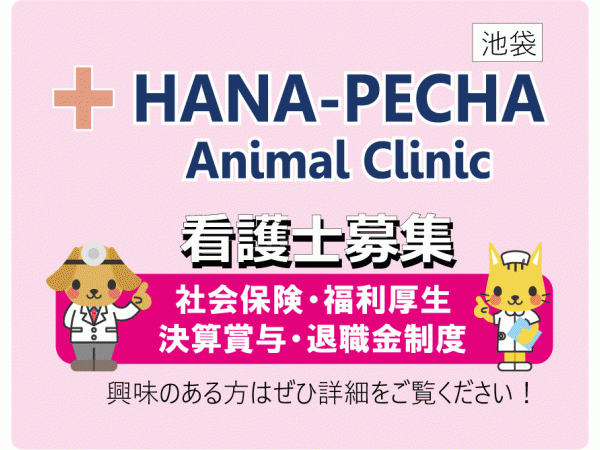 獣医師 動物看護師の求人 転職情報 E Animal Hospital