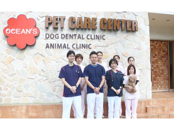 pet care center