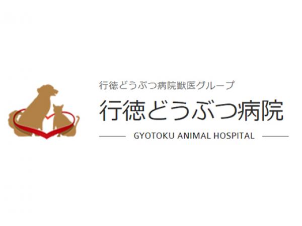 千葉県の求人 獣医師 動物看護師の求人 転職情報