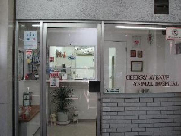 チェリーアベニュー動物病院 東京都 府中市 獣医師 動物看護師の求人 転職情報