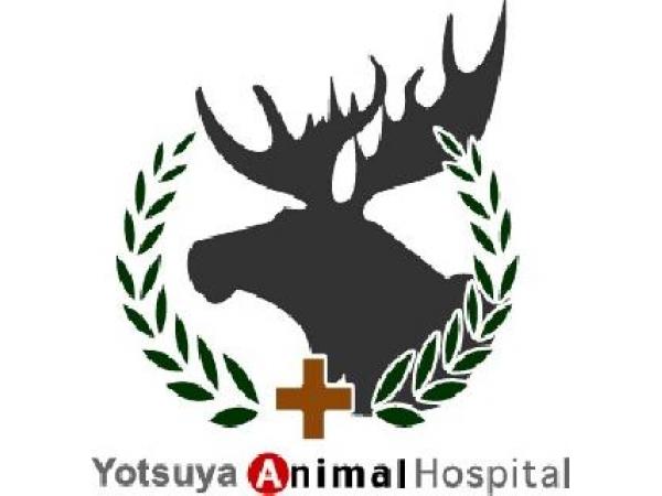 吉祥寺 四谷どうぶつ病院 東京都 新宿区 獣医師 動物看護師の求人 転職情報